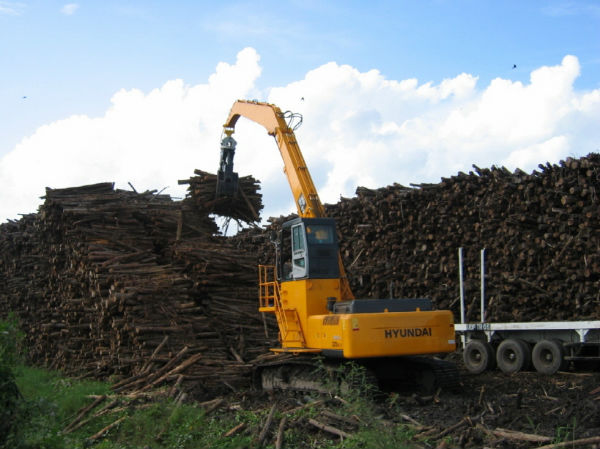 Picture12m Material Handler Front On Hyundai R320 Excavator Timber Scrap Coal